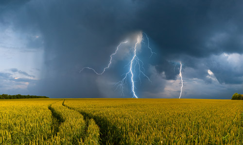 Weizenfeld mit aufziehendem Gewitter - so schützen Sie sich vor Unwetterschäden